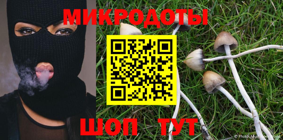 Псилоцибиновые грибы Psilocybine cubensis Чусовой