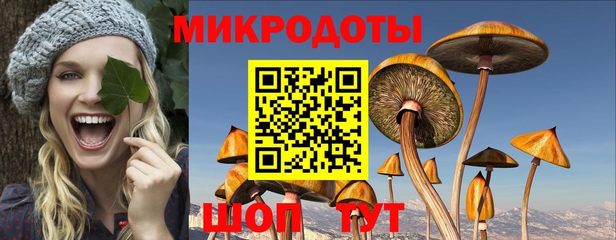 Псилоцибиновые грибы мухоморы  Вход с VPN  Галлюциногенные грибы прущие грибы  Чусовой 