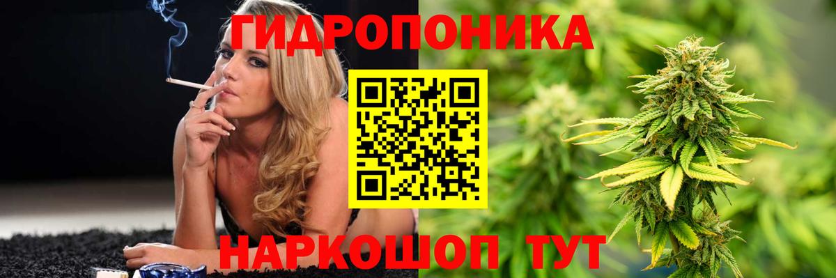 Бошки Шишки гибрид Чусовой